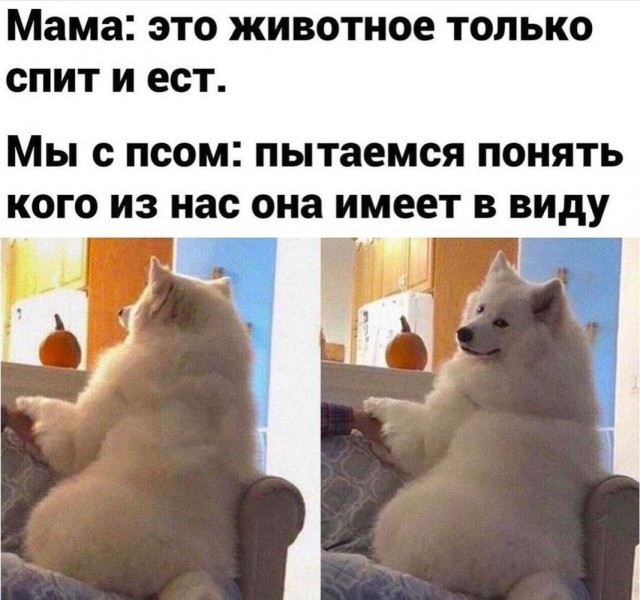 Отряд быстрого деградирования