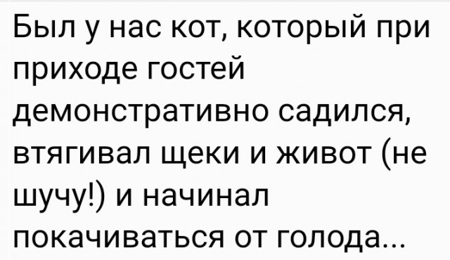 Заботливый…⁠⁠