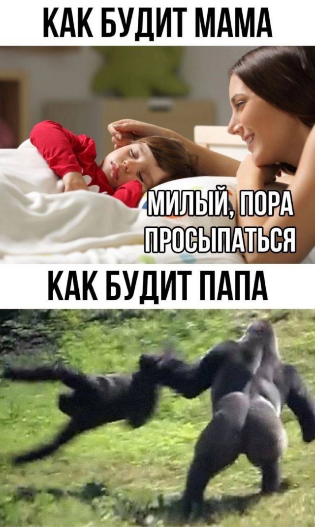 Отряд быстрого деградирования