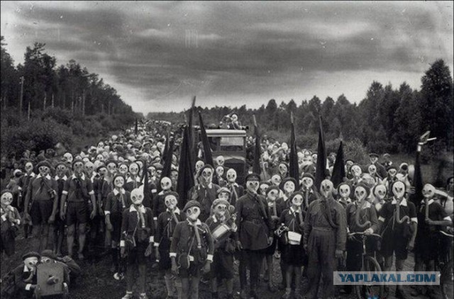 Эволюция глазами Российской армии