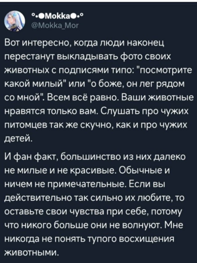Жизнь домашнего приюта для котеек 480