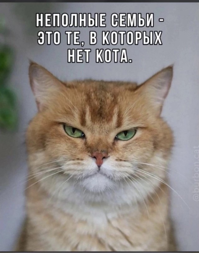 Сегодня в очередной раз я стал рабом