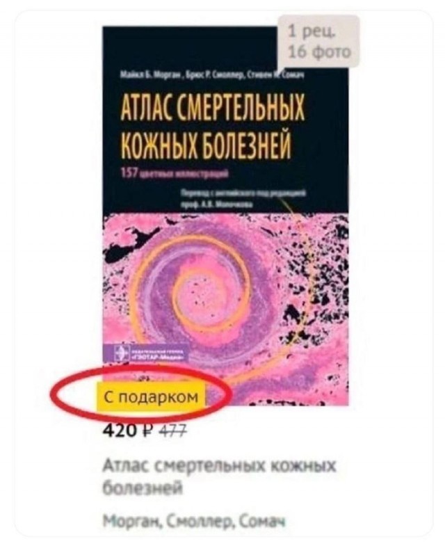 Немного забавных картинок от 05.08.24