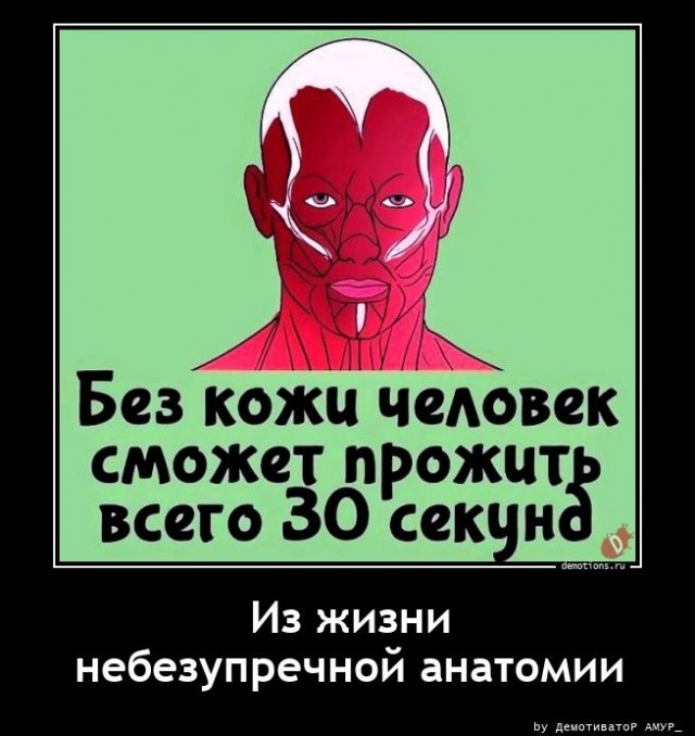 Подборка интересных фактов на все случаи жизни
