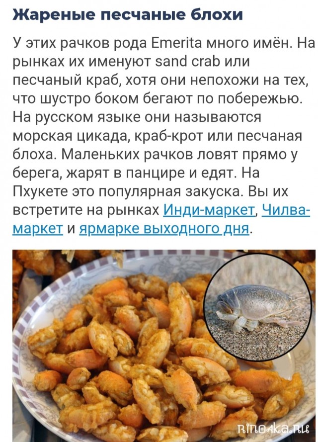 Полежать на пляже, побалдеть?