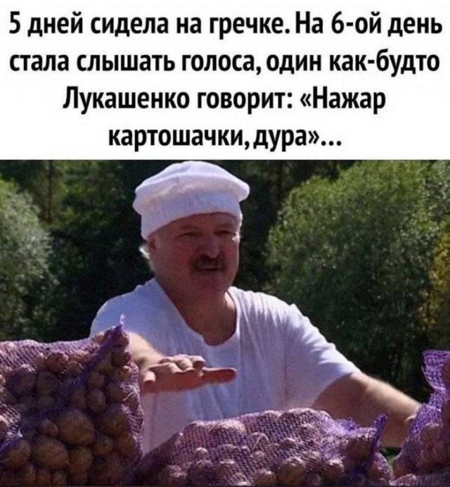 Быстрая деградация