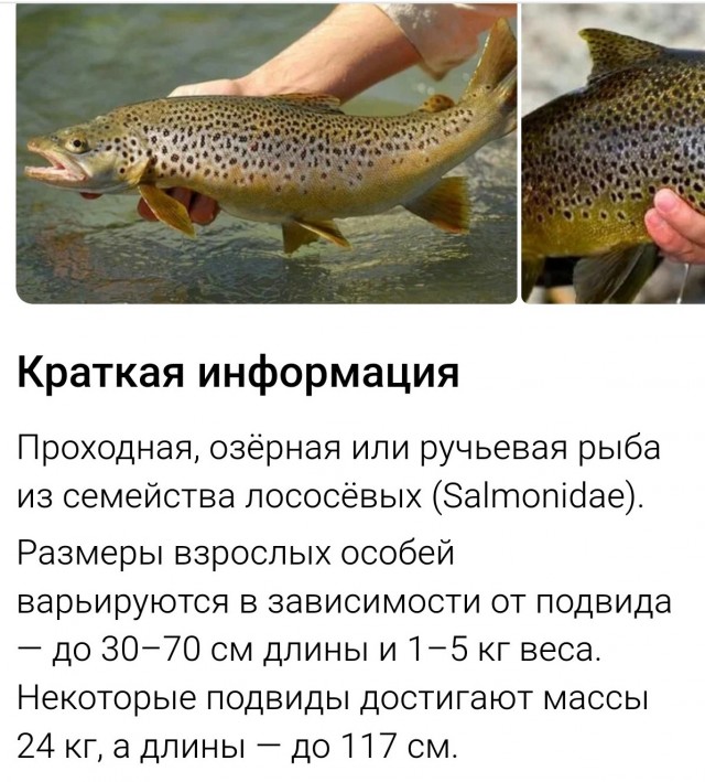 В этот раз всё удачно.