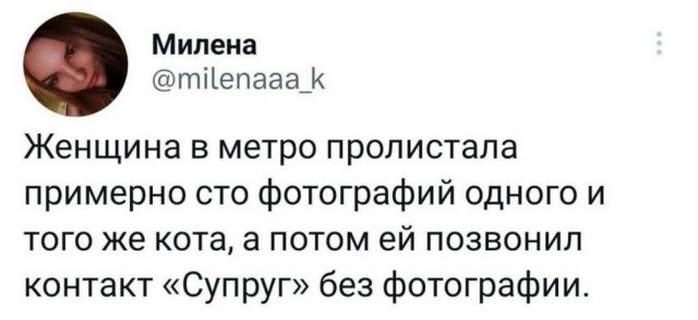 Всего понемногу. От 21.11.2024.