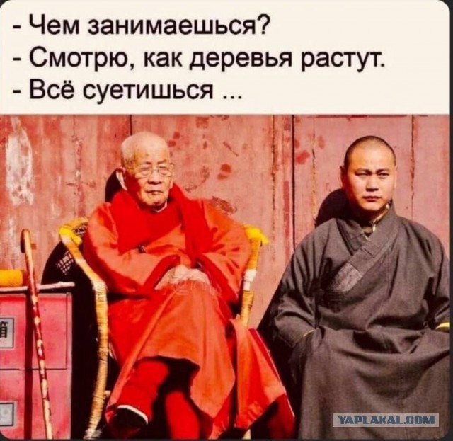 Как мужики от злых жен "прячутся"