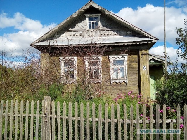 Красивое фото из телефона