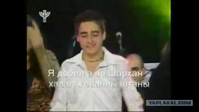 Мерцание гигантских пчёл