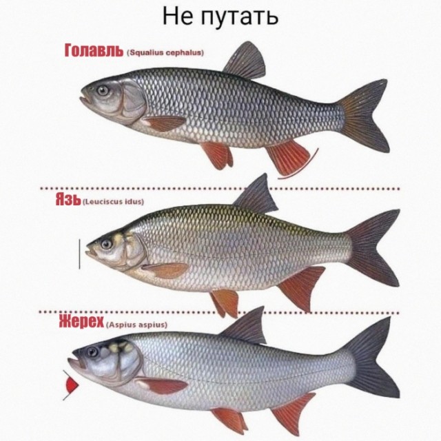 Отпуск. Начало