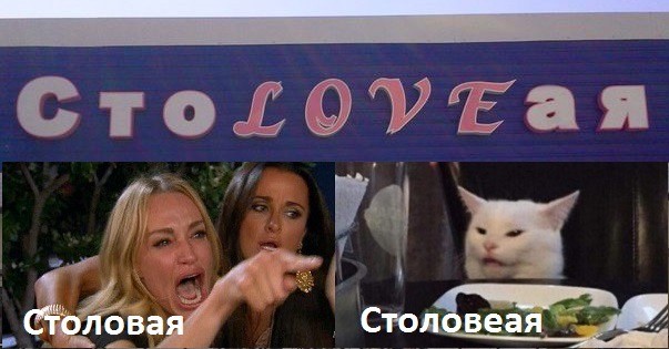 Знаменитый кот 2