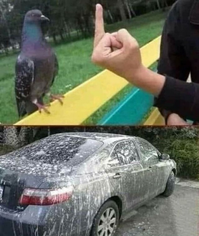 https://s00.yaplakal.com/pics/pics_preview/4/7/6/20250674.jpg