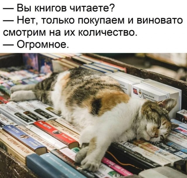 Веселое настроение в картинках 16.08.25