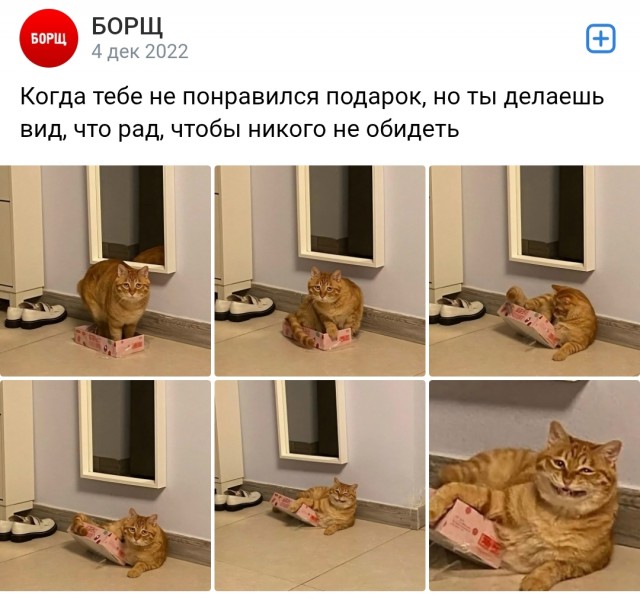 Буквально мы