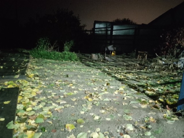 А у нас дожди..