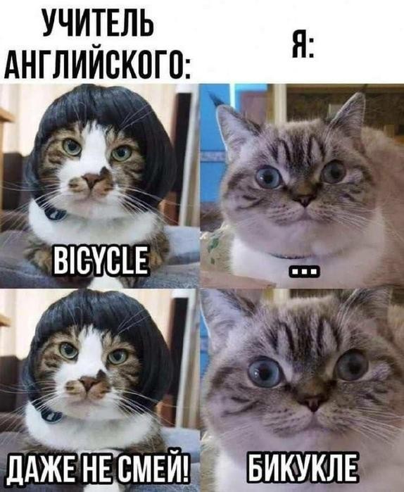 Картинки для деградации 112 (разной степени свежести)