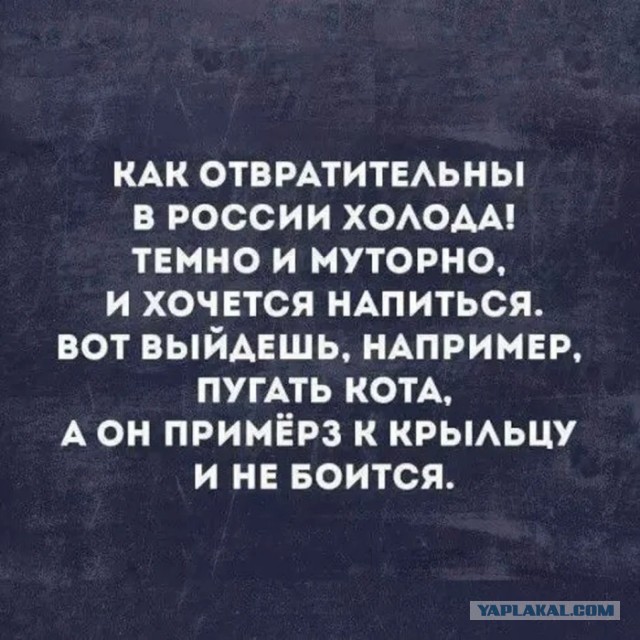 Забавные картинки, шутки из этих ваших интернетов