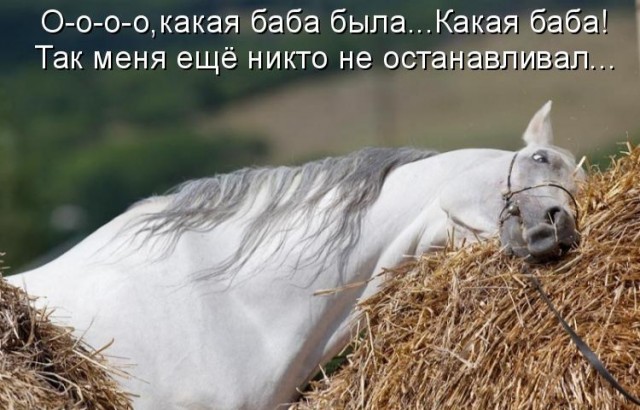 с наступившим годом лошади, продолжаем праздновать!