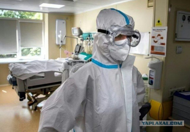 В Индии вспышка смертельно опасного вируса «Нипах».