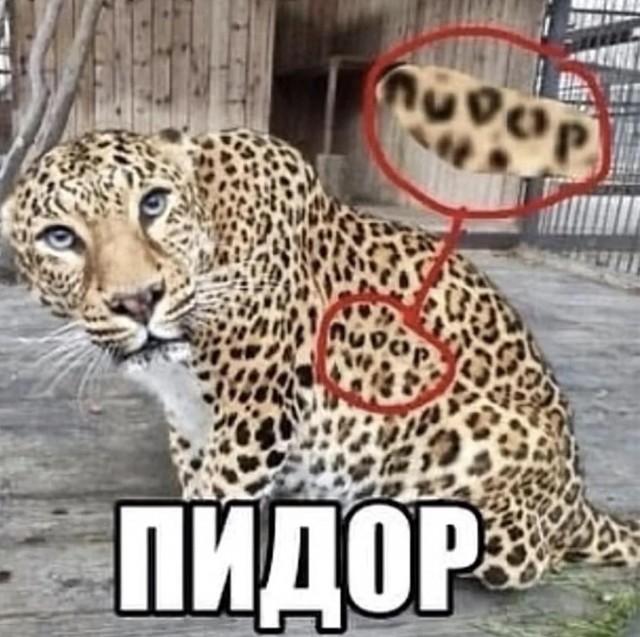 Немного картинок разной степени новизны и адекватности
