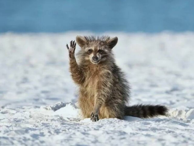 Забавные и интересные фото из Сети 23.04.26