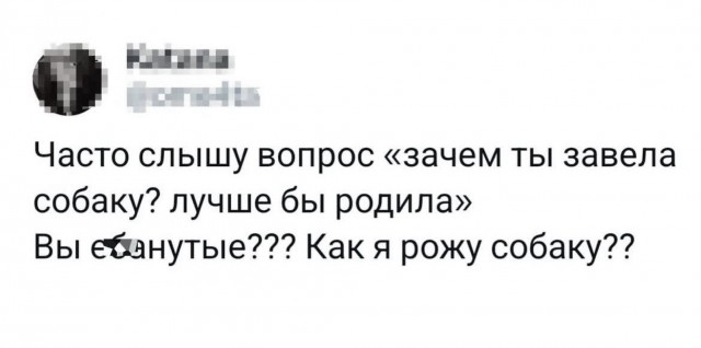 Картиночки, баянчики 06 июня