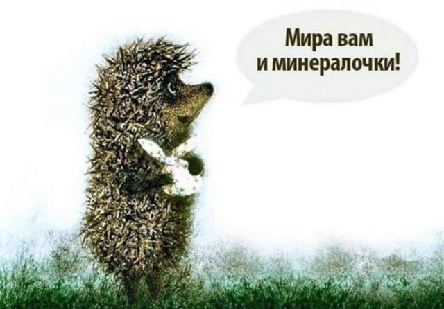 Так себе картинки 21.06.26
