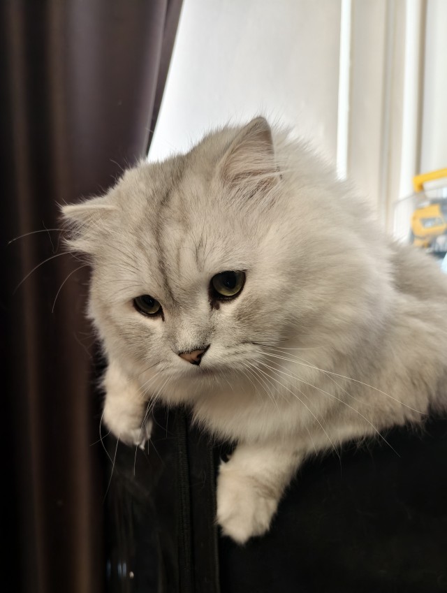 "Так, я не понял - а куда подевалось?!"