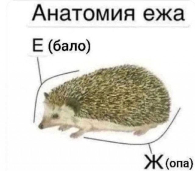 Картинки для деградации 245 (разной степени свежести)