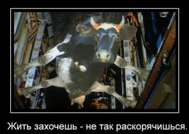 Пришëл голавля половить на жука, но есть нюанс