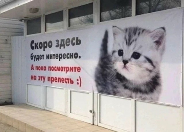 Так себе картинки 07.09.26