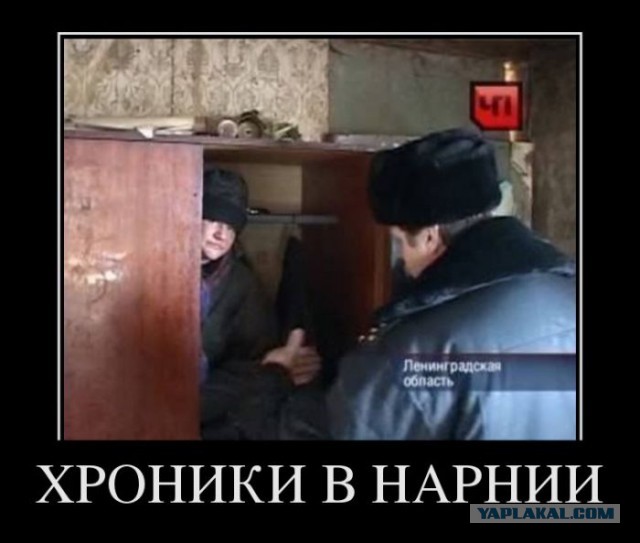 Демотиваторы.
