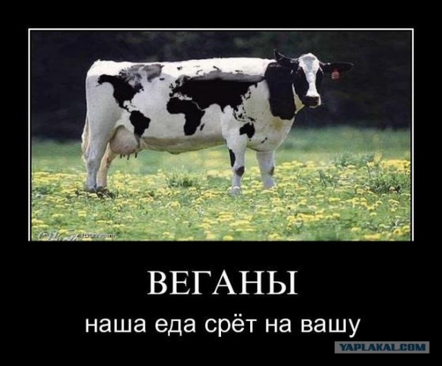 Пламенный привет веганам!