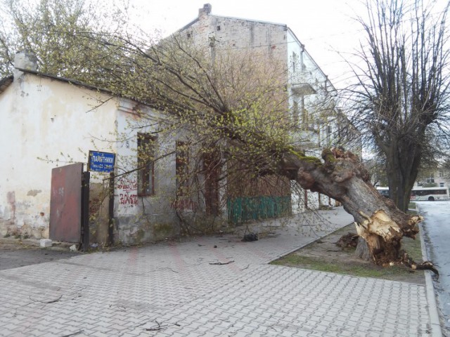 Пару часов назад в Бресте