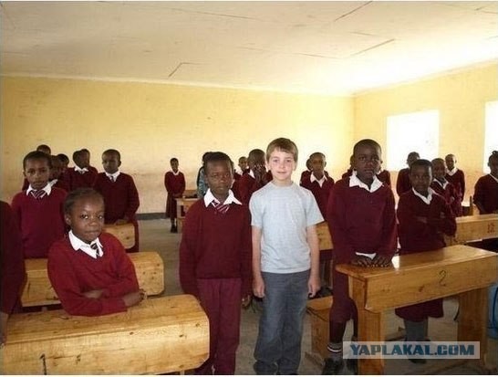 На злобу дня