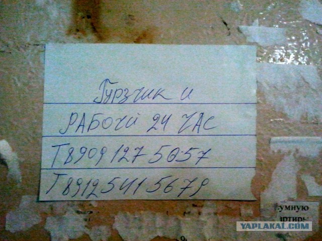 30 объявлений из наших подъездов