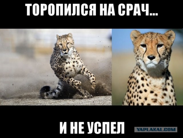 Фатальные ошибки мотоциклистов