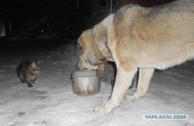Хочу поделиться радостью