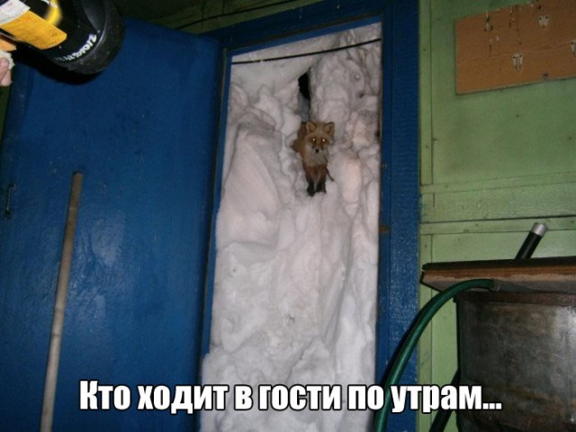 Подборка Картинок из сети
