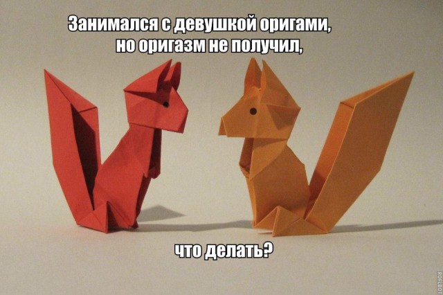 Картинки и приколы из сети