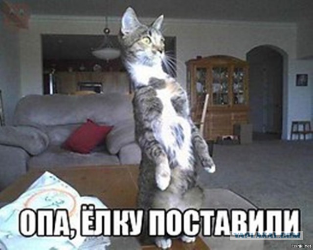 Подборка интересных и веселых картинок