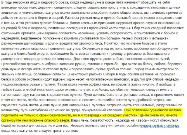 В соцсетях появилось видео жестокого убийства медведя грузовиком "Урал"