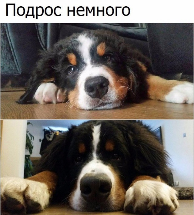 Фотки всякие разные...