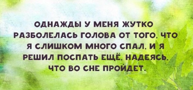 15 самых правдивых историй из жизни настоящих лентяев!