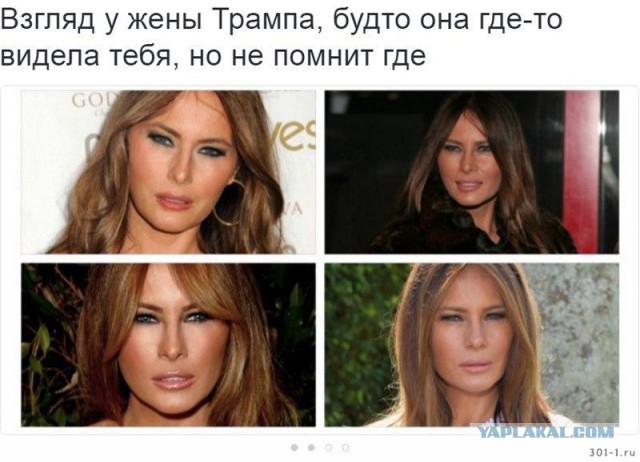 Почему мужчины предпочитают серых мышек?