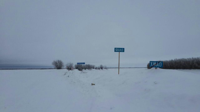 Калейдоскоп картинок