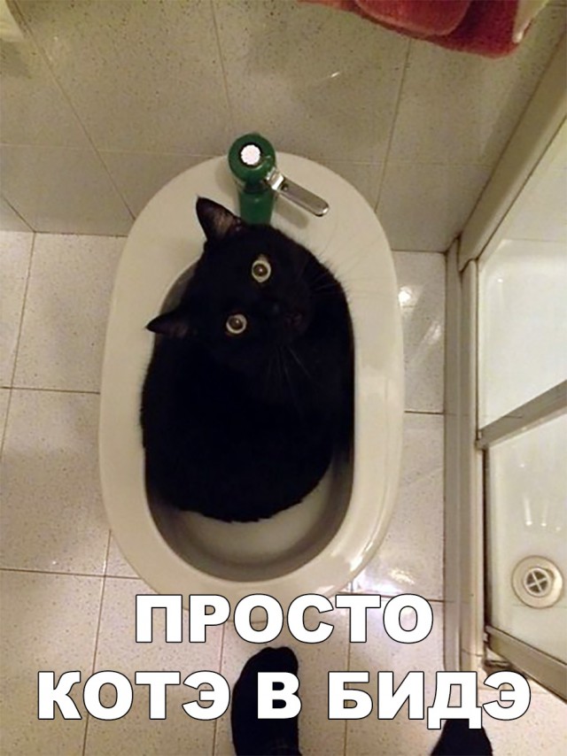 Немного милоты