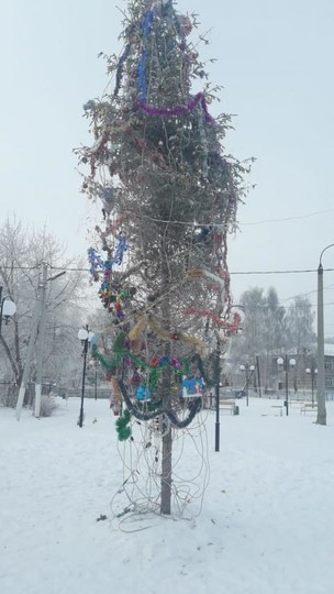 Жители поселка в Татарстане попросили власти убрать елку – «портит настроение своим видом»